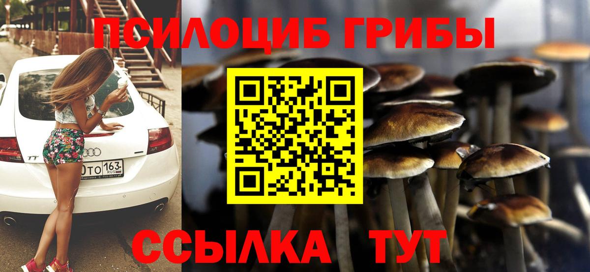 Псилоцибиновые грибы Cubensis Ревда